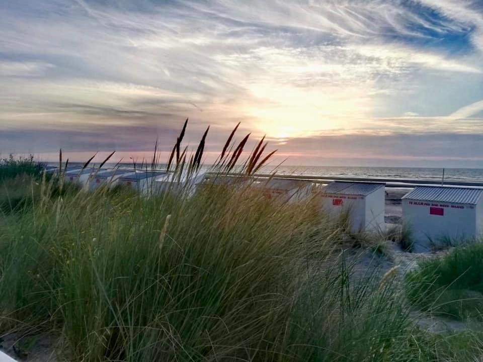 Seayousoon Nieuwpoort-Bad 外观 照片